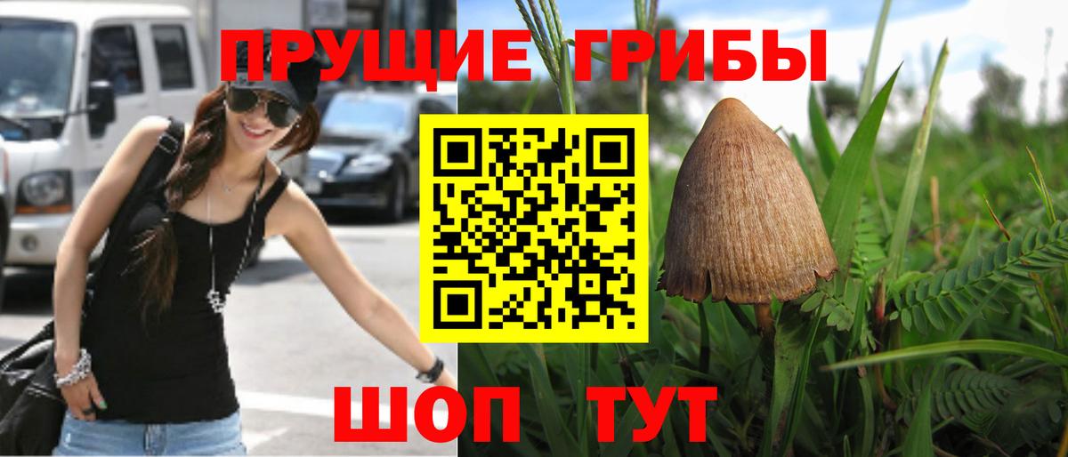 цена   Вход с VPN  Мытищи  Галлюциногенные грибы ЛСД 